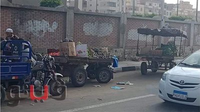 حملة مكبرة لإزالة إشغالات الباعة الجائلين عن شوارع حي ثالث في الإسماعيلية | صور