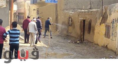 حملة مكبرة لرش وتعقيم مدينة أبوصوير في الإسماعيلية | صور