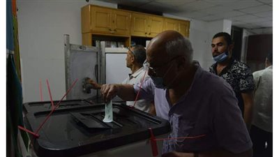 3 ملايين و74 ألف ناخب يدلون اليوم بأصواتهم في جولة الإعادة بمجلس النواب بسوهاج