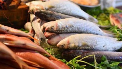 أسعار الأسماك اليوم الإثنين 2020/11/23