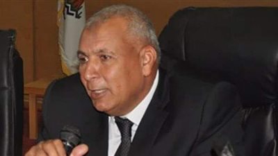 محافظ الوادي الجديد: انطلاق سير عملية الاقتراع بانتخابات النواب بدون مشكلات