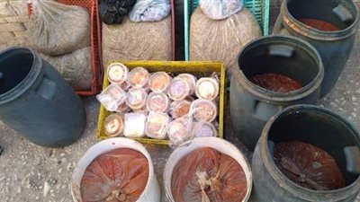 ضبط سلع غذائية منتهية الصلاحية في إسنا بالأقصر | صور