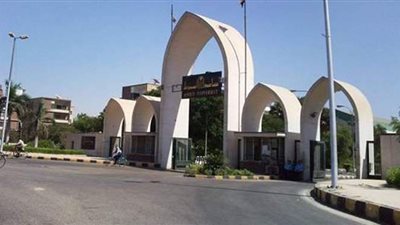 نجاح عملية إنقاذ حياة طفلة باستئصال ورم سرطاني بالكلى ممتد لعضلة القلب في أسيوط