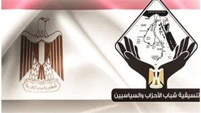 تنسيقية شباب الأحزب: انتظام التصويت بإعادة المرحلة الأولى من انتخابات النواب 2020