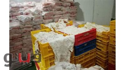 ضبط مخزن منظفات بدون ترخيص  وتحرير 326 محضرا فى حملات  بالمنوفية