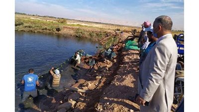 نجاح مشروع الاستزراع السمكى الثانى بقرية الهنداو في الوادى الجديدl  صور