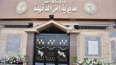 ضبط المتهمين بقتل شاب على مقهى بميت غمر