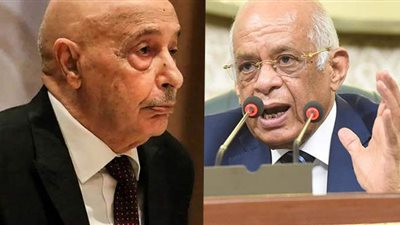 رئيس مجلس النواب يدعو نظيره الليبي لاجتماع تشاوري لدعم الحوار بين الليبيين