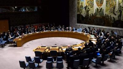 بطلب من 3 دول.. مجلس الأمن يعقد اليوم أول اجتماع بشأن تيجراي الإثيوبية