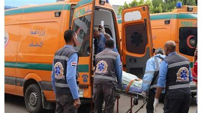 مصرع شخصين بحادث انقلاب سيارة في الوادى الجديد