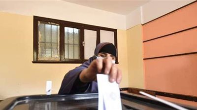 جولة لمحافظ البحيرة على لجان الانتخابات | فيديو