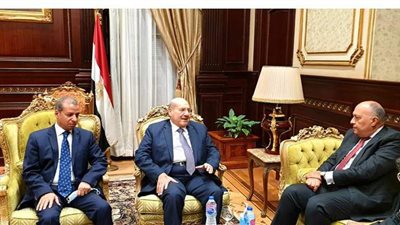 رئيس مجلس الشيوخ: الشعب يشعر بجهود الدبلوماسية المصرية