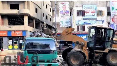 حملات نظافة مكثفة بالغربية | صور