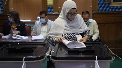 الإدارية العليا تقضي بعدم قبول ١٤٦ طعنًا في المرحلة الثانية لانتخابات النواب
