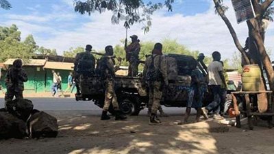 إلغاء اجتماع مجلس الأمن الدولي حول إثيوبيا