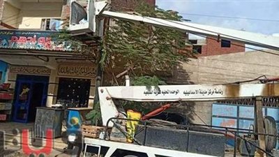 استمرار حملة عزل أعمدة الإنارة بالإسماعيلية