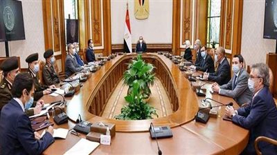 السيسي يستعرض المشروع القومي لتصنيع وتجميع مشتقات البلازما في مصر | فيديو