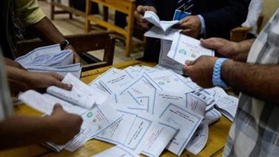 الحصر العددي لـ6 لجان فرعية بالإسكندرية | صور