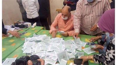 الحصر العددي للجنة الفرعية رقم 132 بملوي بالمنيا