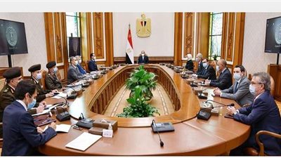 تعرف على مستجدات المشروع القومي لتصنيع وتجميع مشتقات البلازما في مصر