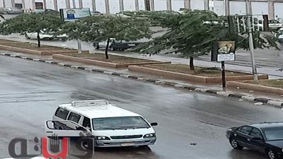 هطول أمطار على عدة مدن بالغربية | صور