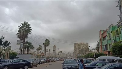 تقلبات جوية وغيوم وأتربة في المنصورة | فيديو وصو ر
