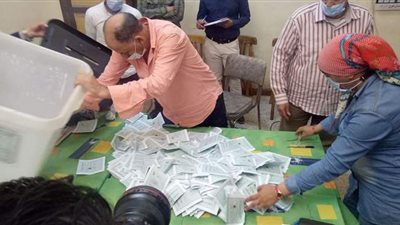 بالأرقام.. الحصر العددي بجميع دوائر محافظة المنيا في انتخابات مجلس النواب