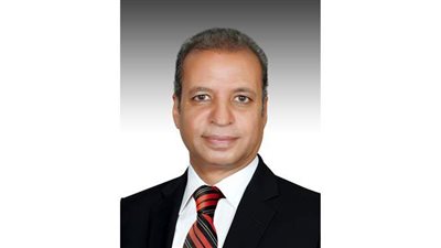 أمين عام مجلس الشيوخ: تشكيل اللجان النوعية عقب إقرار قانون اللائحة