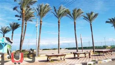 العثور على جثتين متحللتين على شواطئ بلطيم في كفر الشيخ