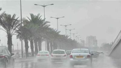 هطول أمطار غزيرة وحبات البرد في المنصورة ورياح شديدة ببرج العرب | فيديو