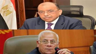 وزير التنمية المحلية يهنئ عادل الغضبان بجائزة أفضل محافظ عربي