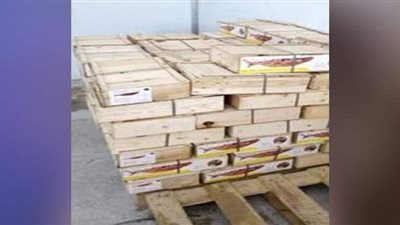 إعدام أكثر من طن أغذية فاسدة وغلق ١٢ منشأة غذائية غير مرخصة بالشرقية