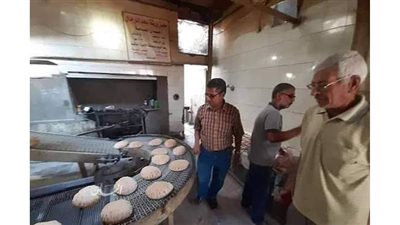 التموين والطب البيطري يضبطان  7 مخالفات بمركزي قنا ونجع حمادي | صور