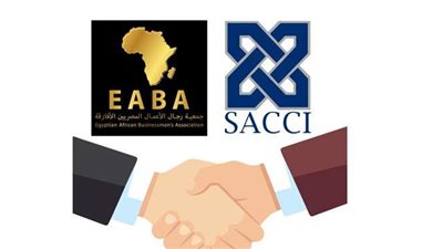 رجال الأعمال المصريين الأفارقة: نسعى لرفع التبادل التجاري بين مصر وإفريقيا لـ ٥٠٠ مليون دولار
