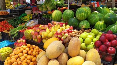 أسعار الطماطم اليوم في سوق الجملة