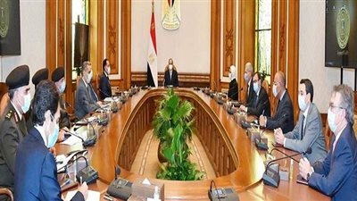 تطورات المشروع القومي لتصنيع وتجميع مشتقات البلازما.. اعرف التفاصيل