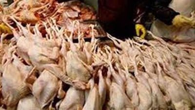 ضبط 2.5 طن دواجن فاسدة داخل مطعم شهير لتجهيز الوجبات الجاهزة بالقاهرة