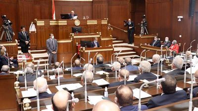بالأسماء.. تعرف على اللجان النوعية بمجلس الشيوخ