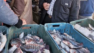 غلق 30 منشأة مخالفة وإعدام أسماك و أغذية فاسدة في الدقهلية