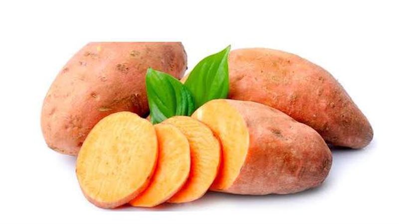 البطاطا الحلوة