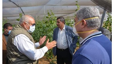 الوادي الجديد تنفذ مجمع صوب زراعية بطريق الخارجة أسيوط