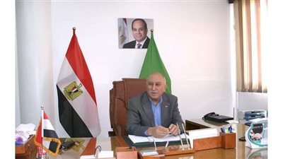 رئيس تجارية الإسماعيلية: قرارات وزارة الصناعة طوق نجاة للمصدرين