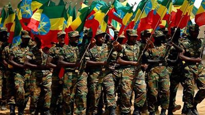 رئيس الوزراء الإثيوبي يعلن دخول الجيش عاصمة إقليم تيجراي