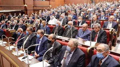 النص النهائي لمسودة لائحة الشيوخ قبل مناقشته بالمجلس غدا