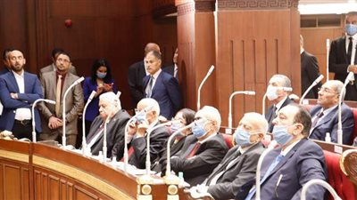 تنسيقية شباب الأحزاب توافق على لائحة الشيوخ مبدئيا وتقترح تعديل  المادة الأولى