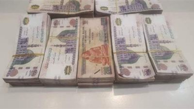 سيدة تستولي على 92 مليون جنيه من المواطنين بالمنيا