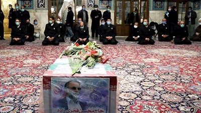 نمر من ورق..  