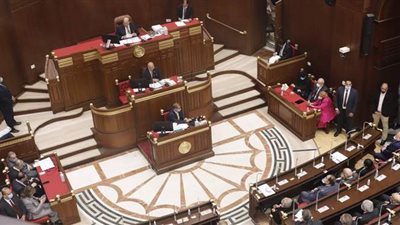 مجلس الشيوخ يوافق على اللجان النوعية واختصاصاتها