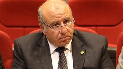 برلمانى يطالب بتطبيق القانون على ممارس التنمر والإعلان عن العقوبات