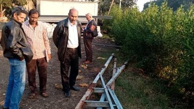 حملات مكثفة لإزالة التعديات على الأراضي الزراعية بالدقهلية | صور